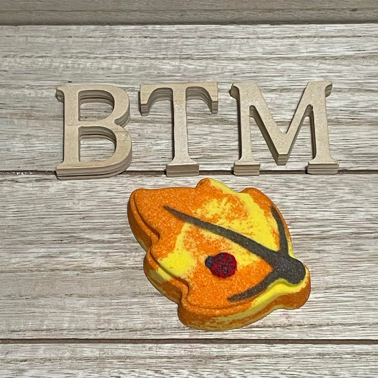 Leaf with Ladybug Hybrid Mold