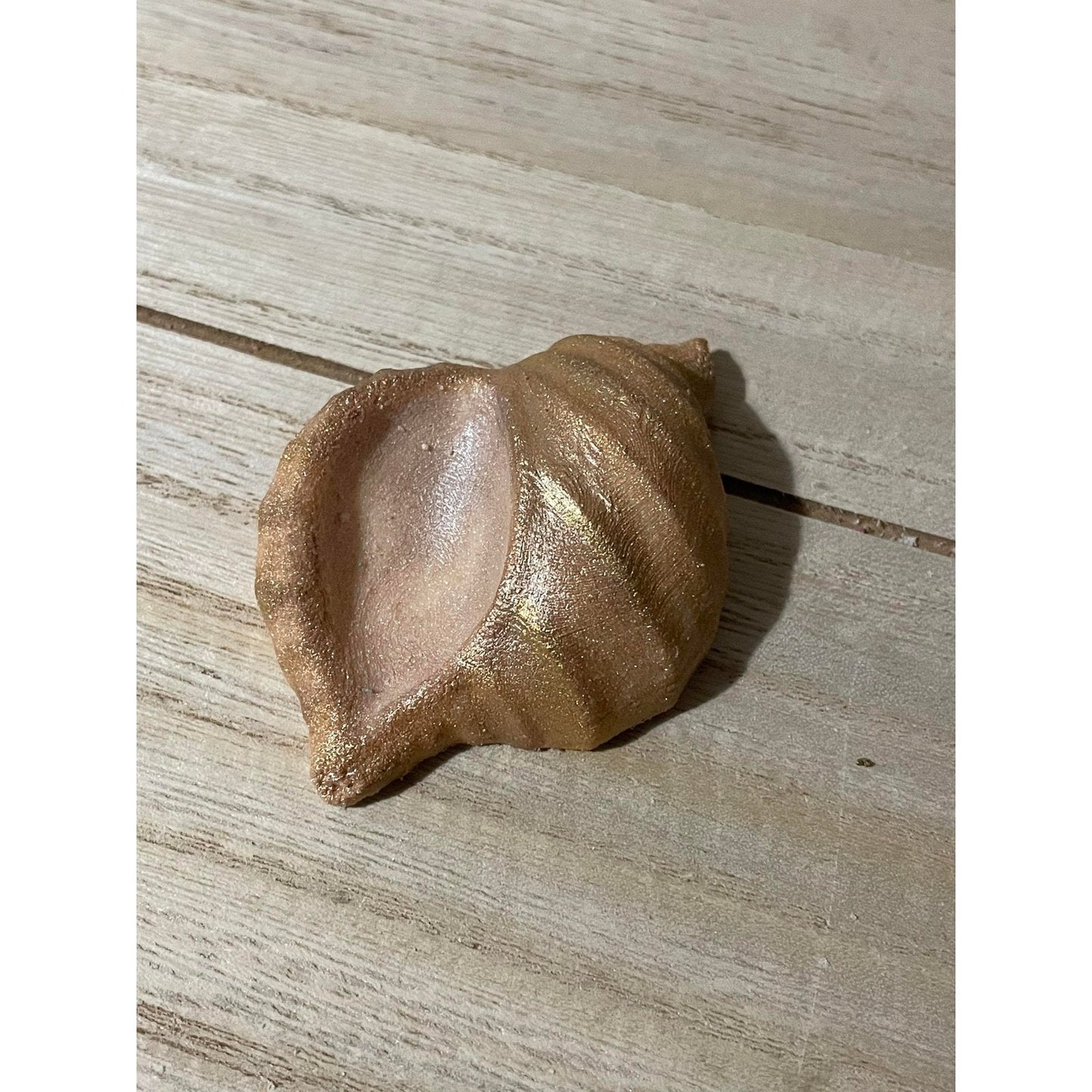 Mini Conch Shell Hybrid Mold