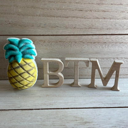 Pineapple Bath Bomb Hand Mold