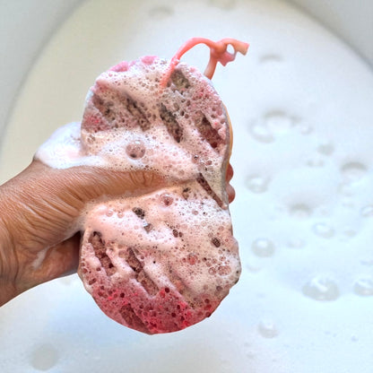Soap Sponges - Scented