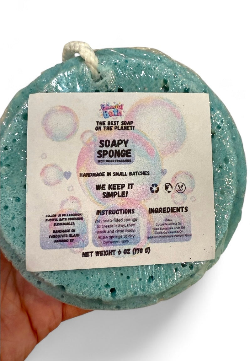 Soap Sponges - Scented