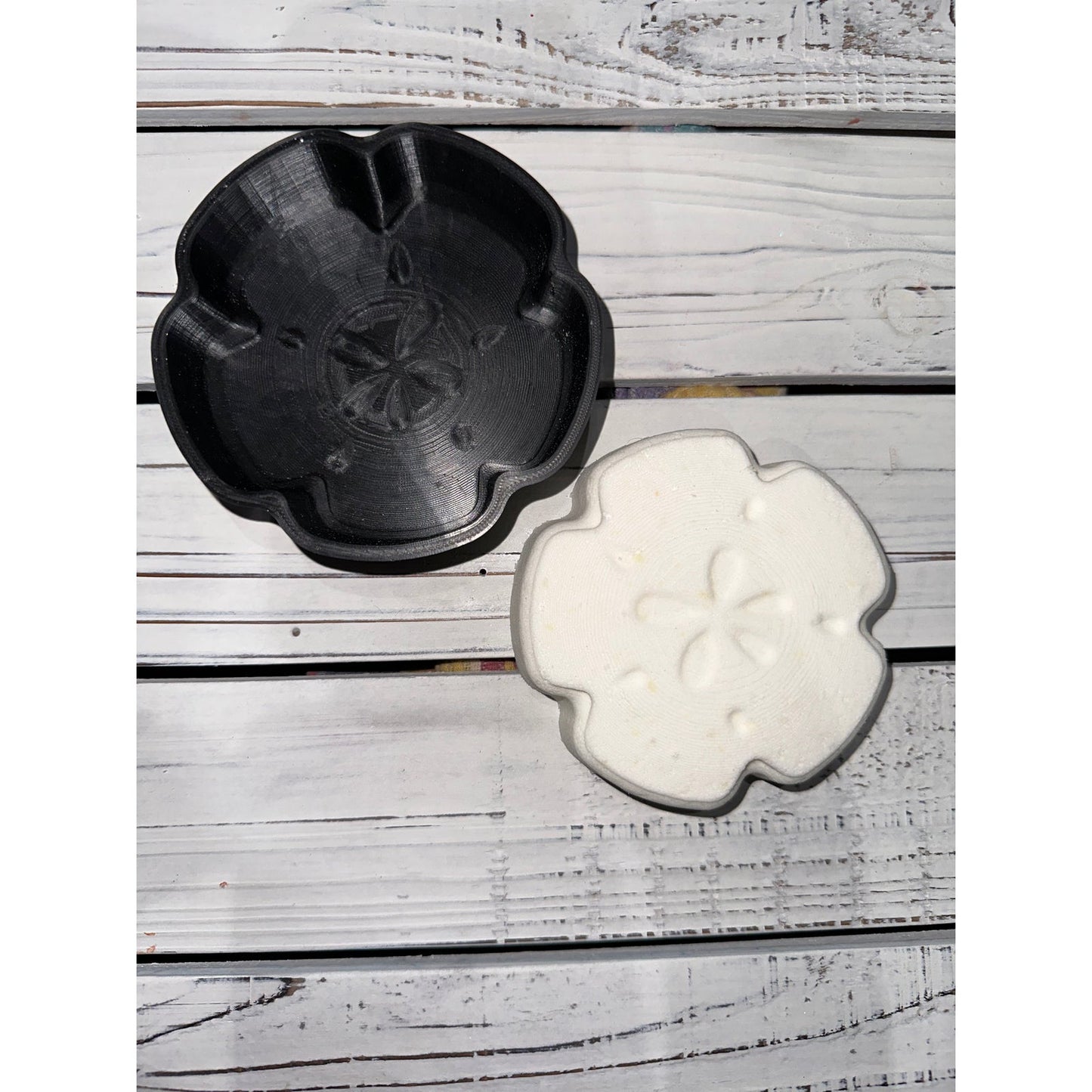 Sand Dollar Vacuum Mold